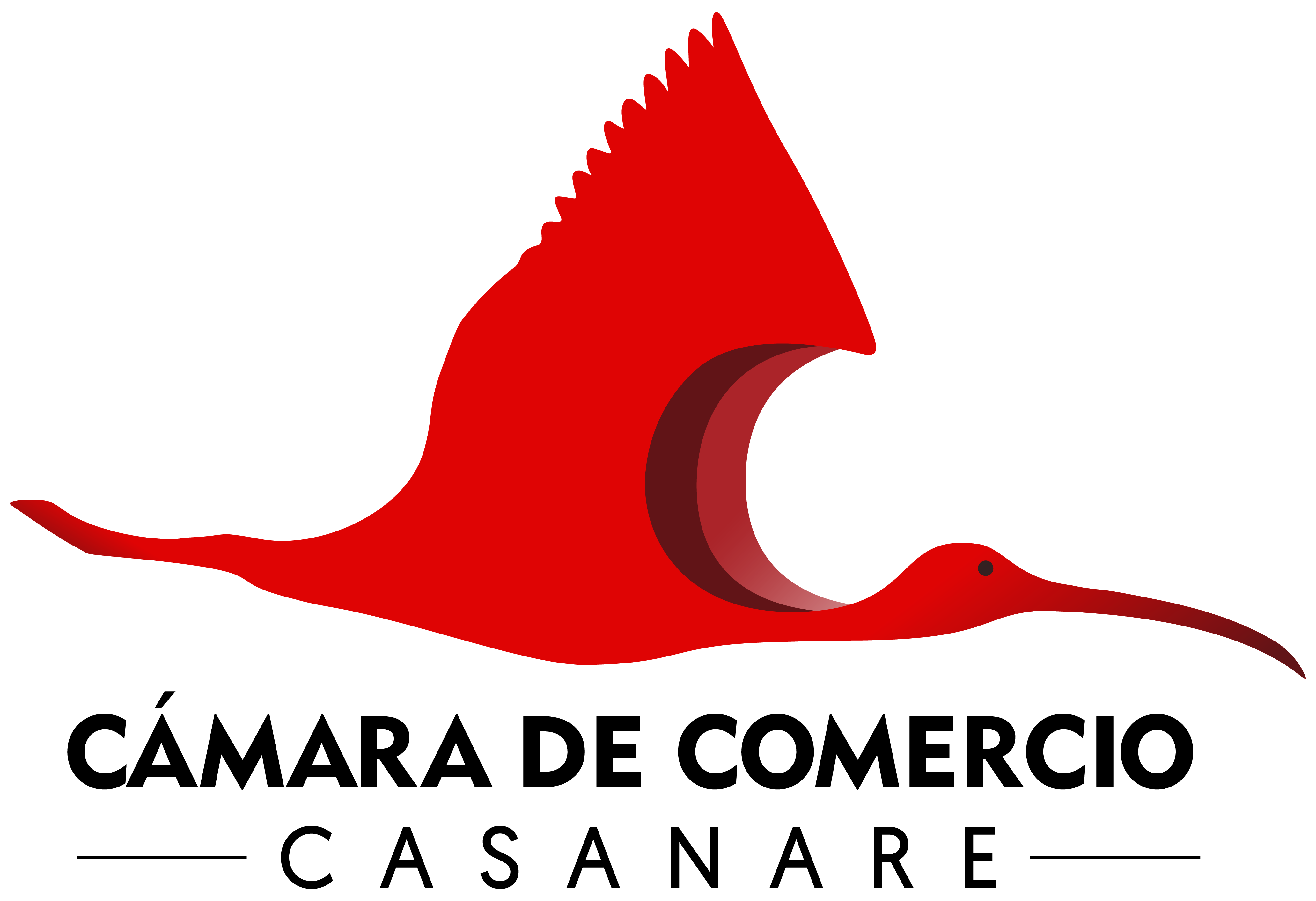 Cámara de Comercio de Casanare